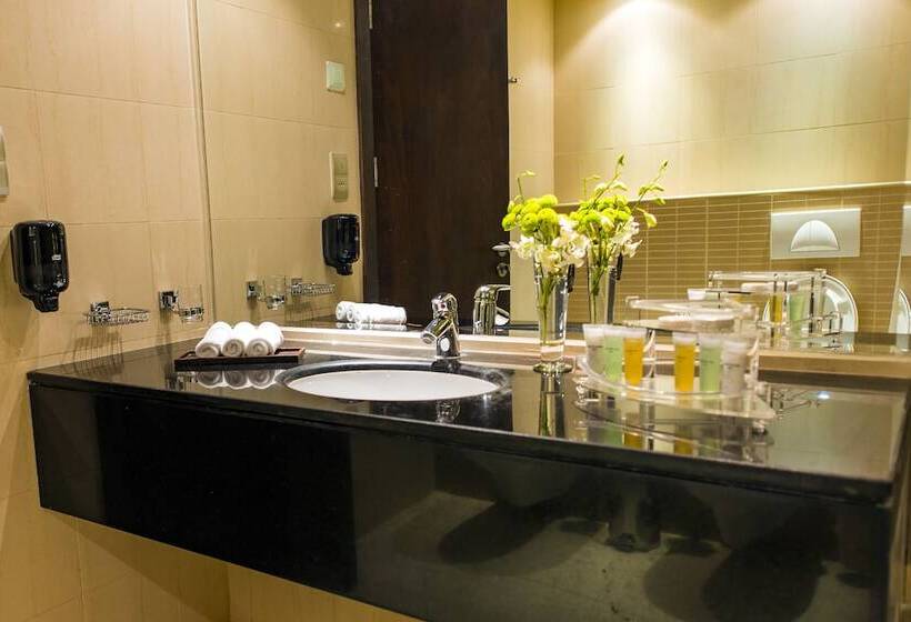 Fotos del hotel Imperial Suites:  7