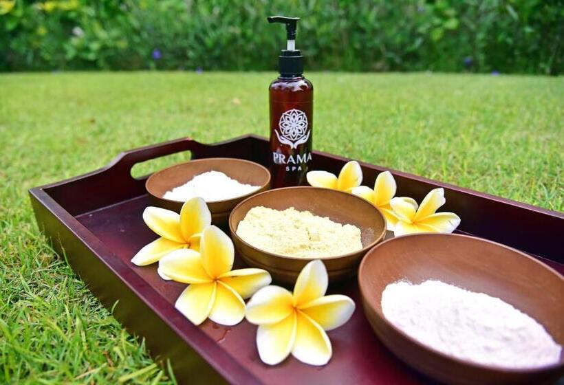 Fotos del hotel Prama Sanur Beach Bali:  9