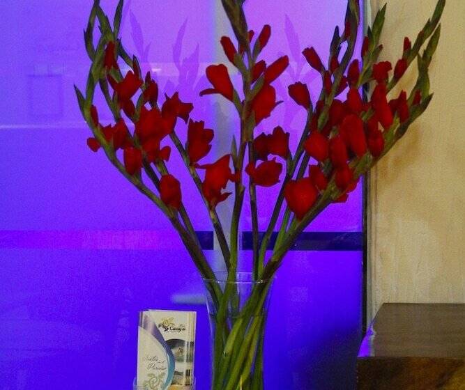 Fotos del hotel Careyes Puerto Escondido:  9