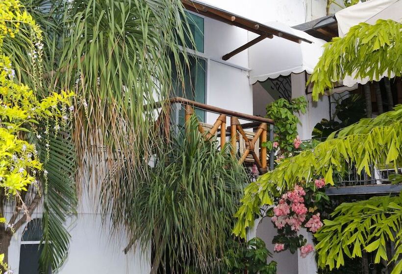 Fotos del hotel Careyes Puerto Escondido:  22