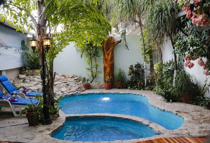 Fotos del hotel Careyes Puerto Escondido:  10