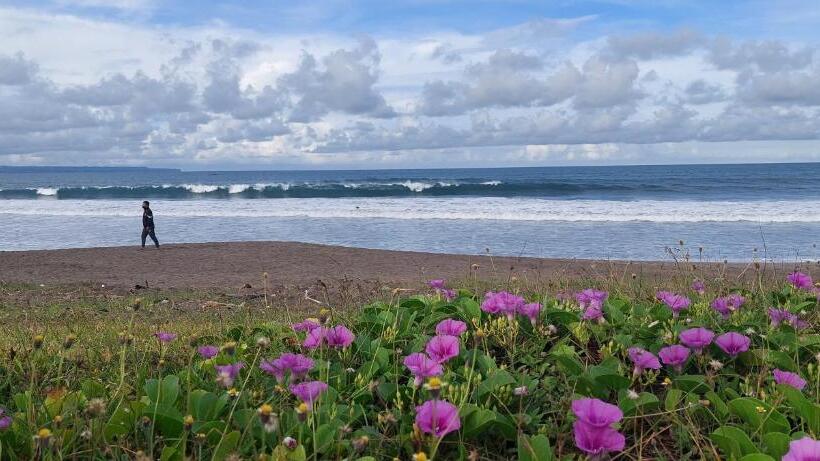 Fotos del hotel Harmony Beach Suite:  21