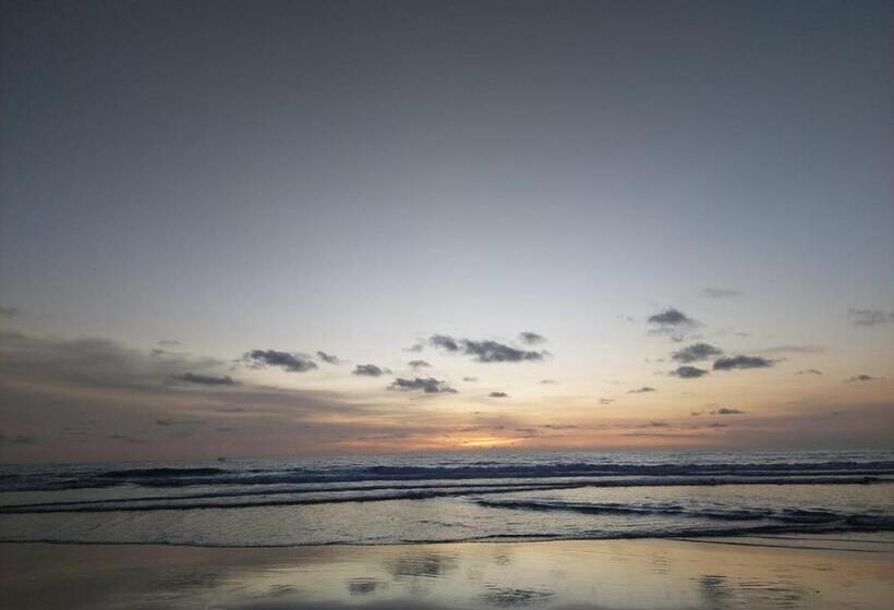 Fotos del hotel Harmony Beach Suite:  16