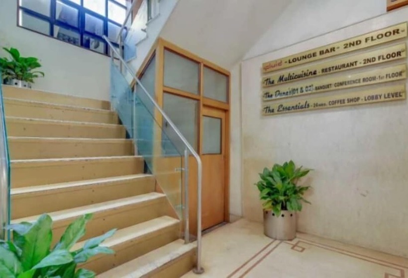 Fotos del hotel The Bigboss:  6