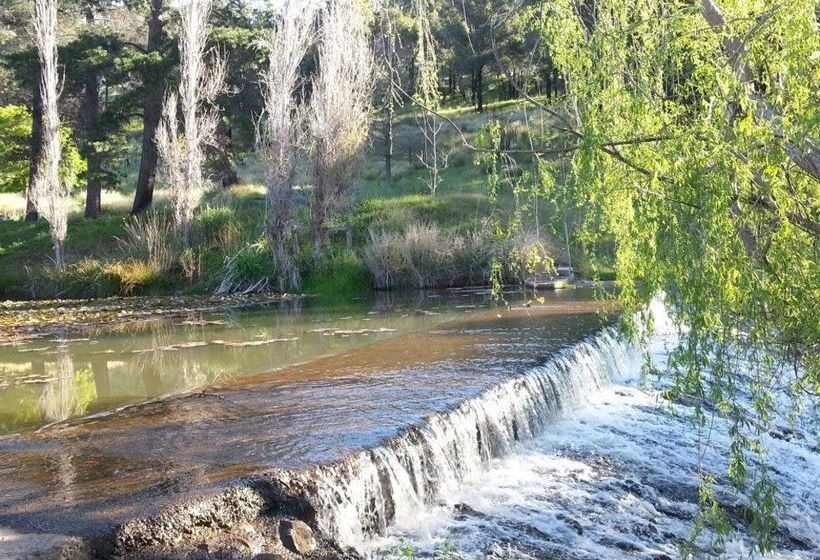 Fotos del hotel Avocados Accommodation:  6