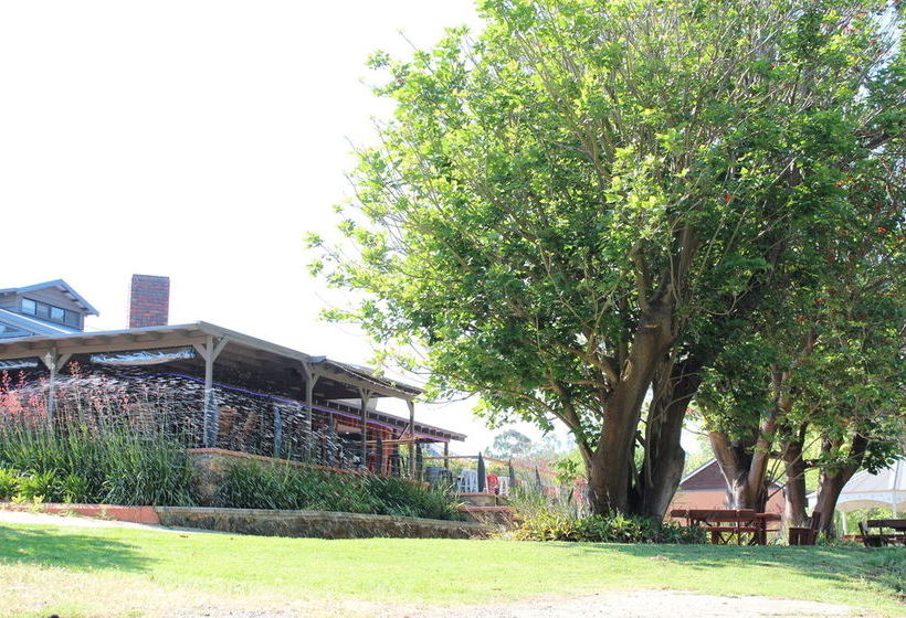 Fotos del hotel Avocados Accommodation:  15