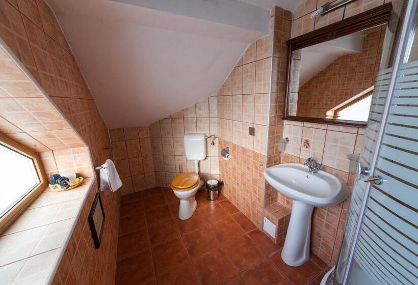 Fotos del hotel Pension Brasovu Vechi:  15