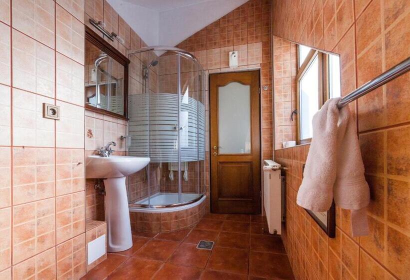 Fotos del hotel Pension Brasovu Vechi:  19