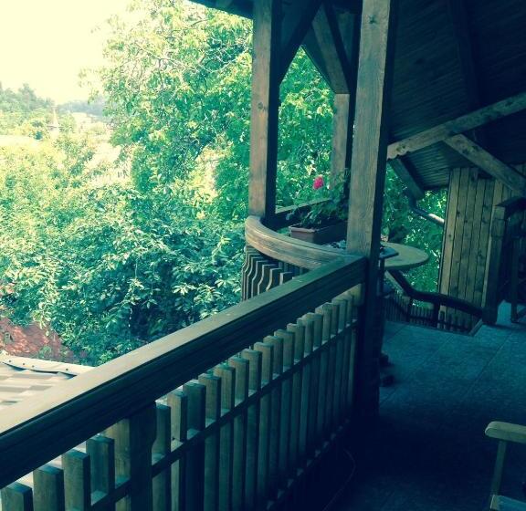 Fotos del hotel Pension Brasovu Vechi:  2