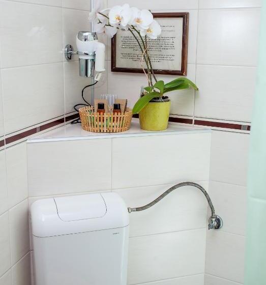 Fotos del hotel Pension Brasovu Vechi:  3