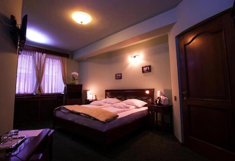 Fotos del hotel Pension Brasovu Vechi:  10