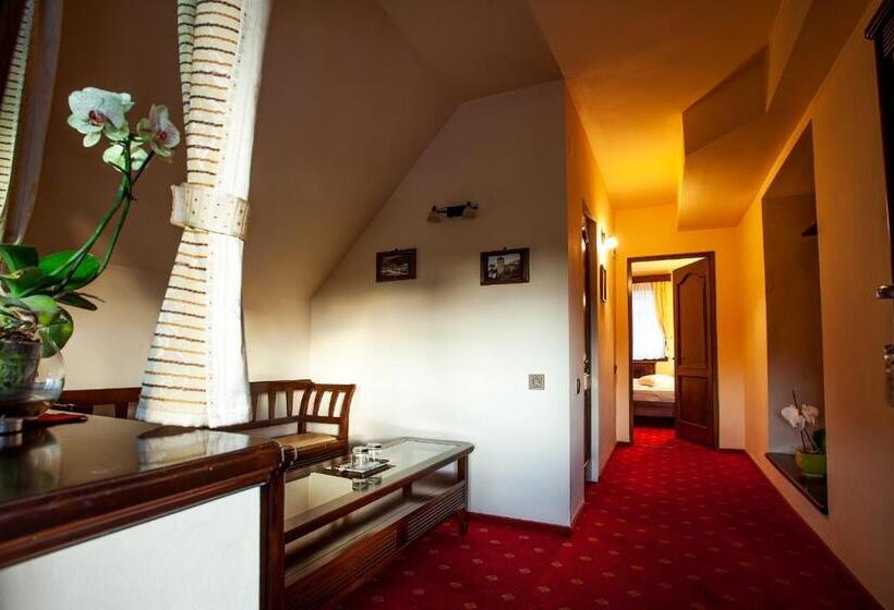 Fotos del hotel Pension Brasovu Vechi:  25