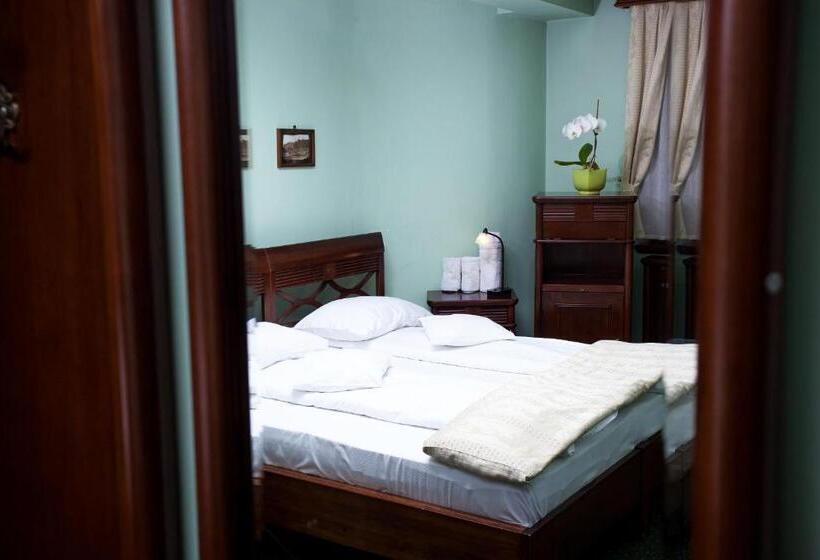 Fotos del hotel Pension Brasovu Vechi:  16