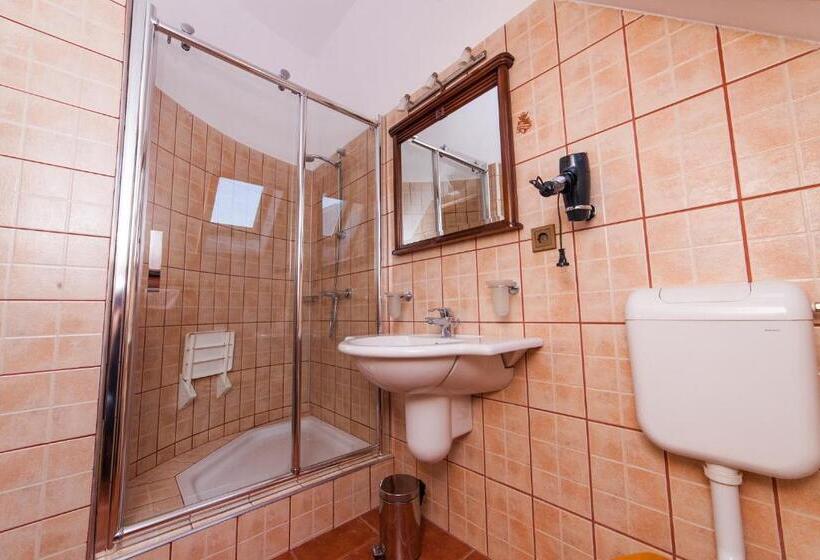 Fotos del hotel Pension Brasovu Vechi:  17