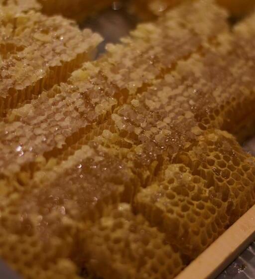 Fotos del hotel Cocomat Hotel Athens:  18