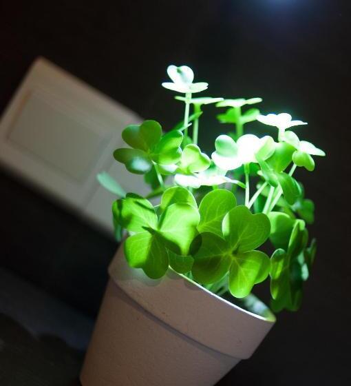 Fotos del hotel Mezzo:  3