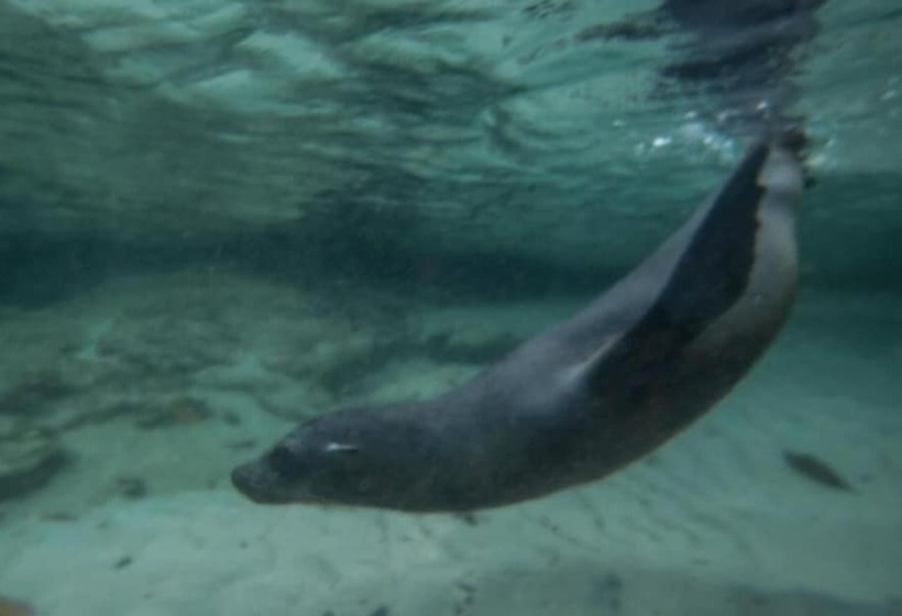 Fotos del hotel Paraiso De Isabela:  12