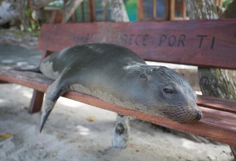 Fotos del hotel Paraiso De Isabela:  8