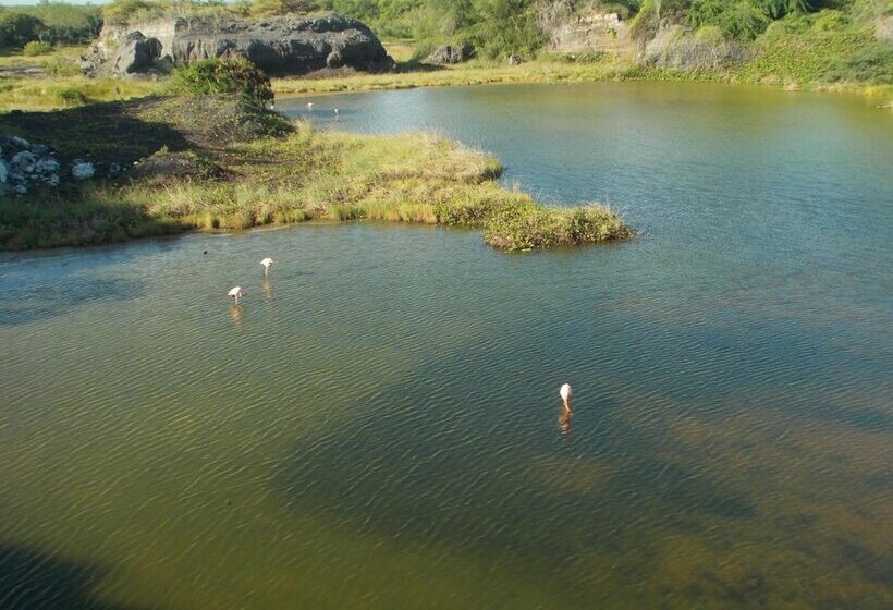 Fotos del hotel Paraiso De Isabela:  21