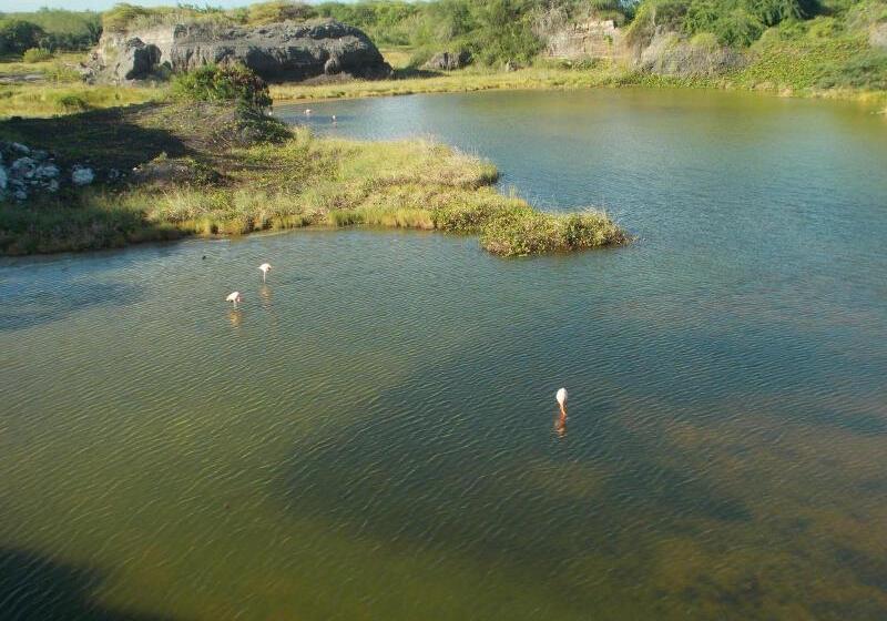 Fotos del hotel Paraiso De Isabela:  20