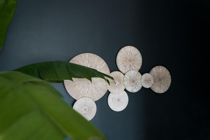 Fotos del hotel White Boutique  And Residences:  4