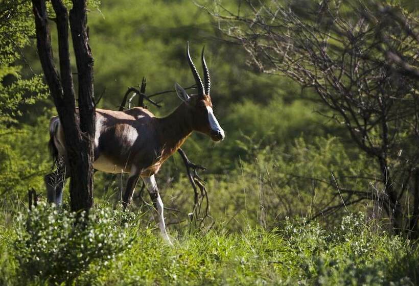 Fotos del hotel Windhoek Game Camp:  5