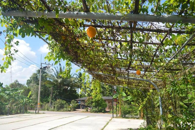 Fotos del hotel Be Fine Sabuy  And Resort:  19