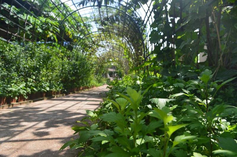 Fotos del hotel Be Fine Sabuy  And Resort:  14