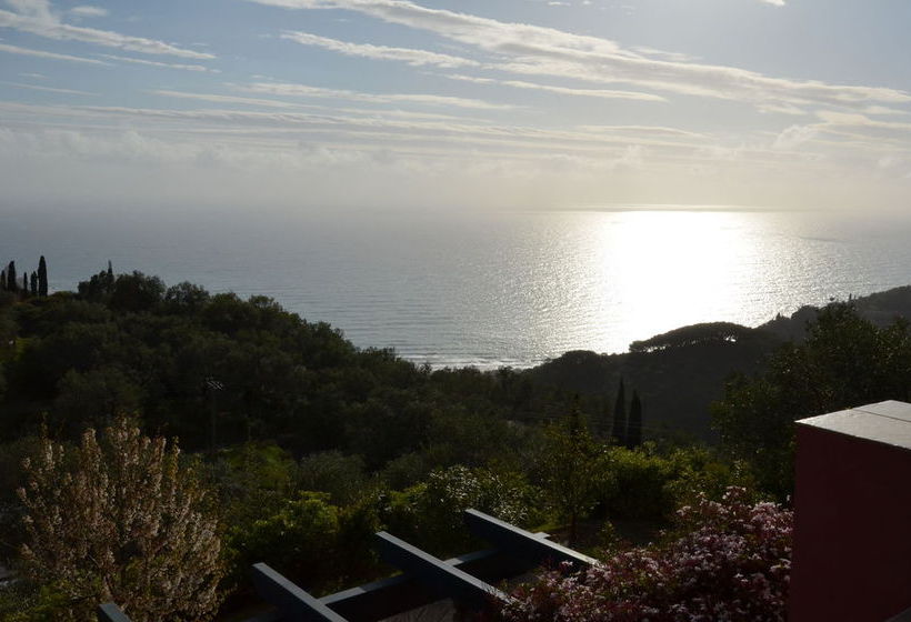 Fotos del hotel Solstice Luxury Suites:  7