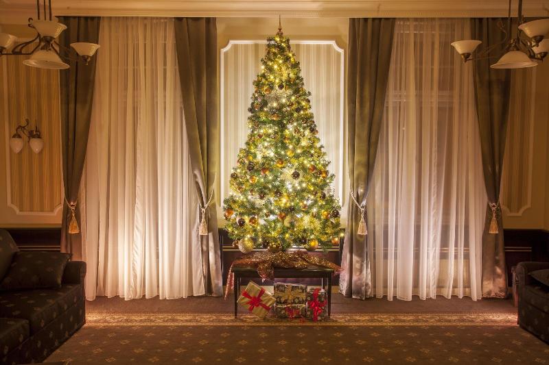 Fotos del hotel Luxury Spa Hotel Olympic Palace:  13