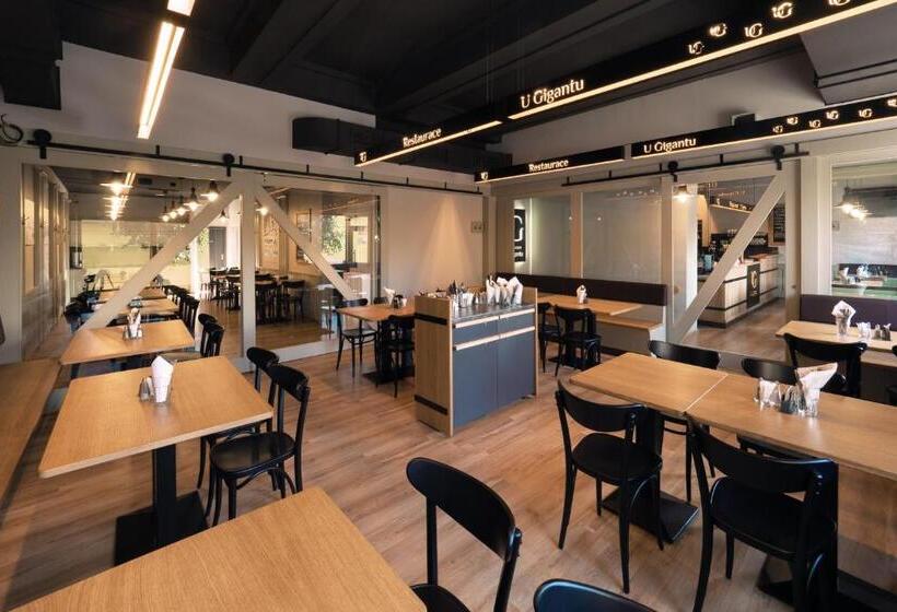 Fotos del hotel Penzion U Gigantu:  15