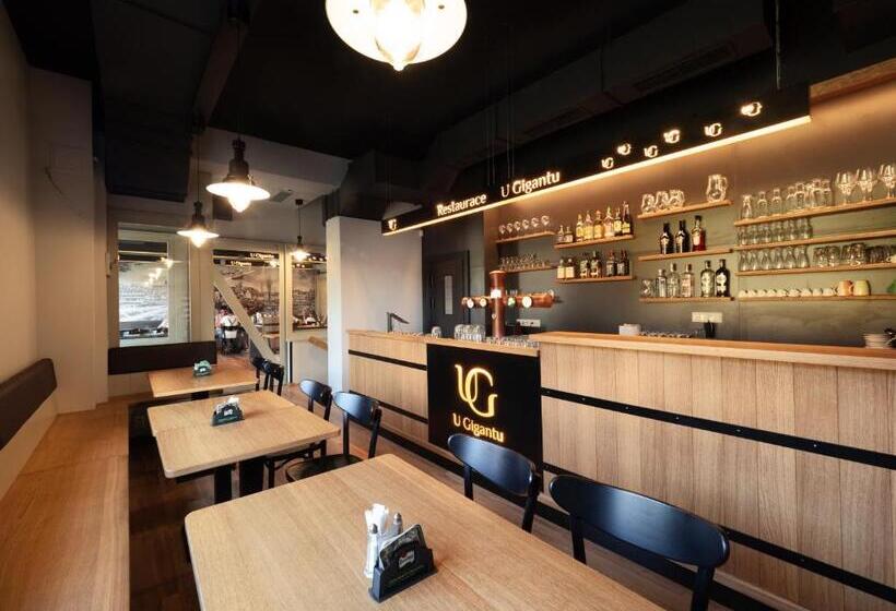 Fotos del hotel Penzion U Gigantu:  9