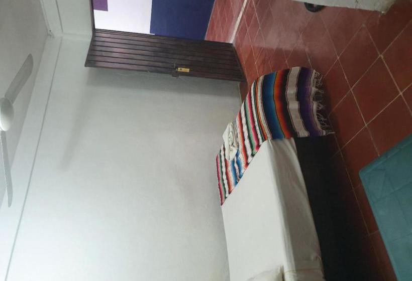 Fotos del hotel Colonial San Carlos:  15