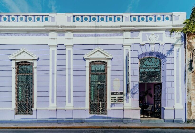 Fotos del hotel Boutique Mansion Lavanda:  8