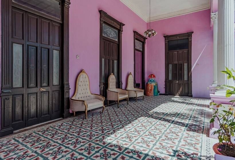 Fotos del hotel Boutique Mansion Lavanda:  2