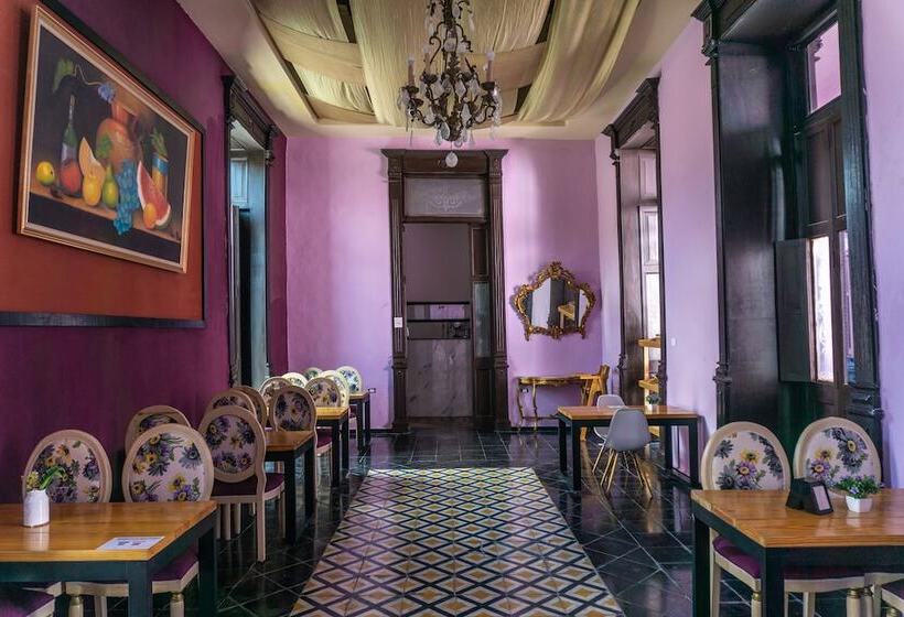 Fotos del hotel Boutique Mansion Lavanda:  12