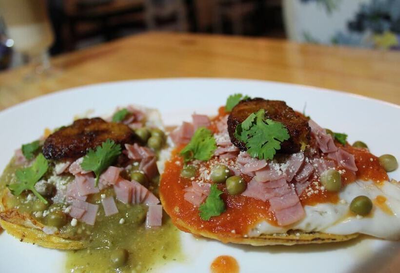 Fotos del hotel Boutique Mansion Lavanda:  14