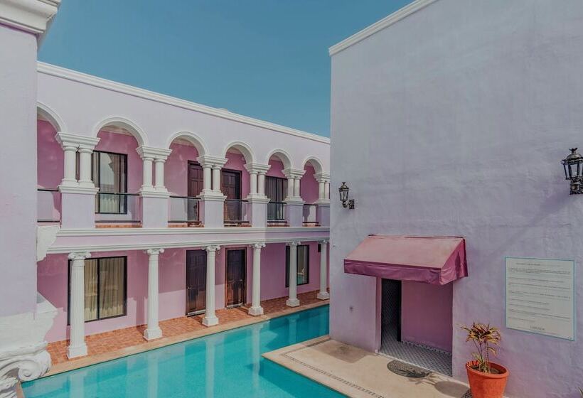 Fotos del hotel Boutique Mansion Lavanda:  15