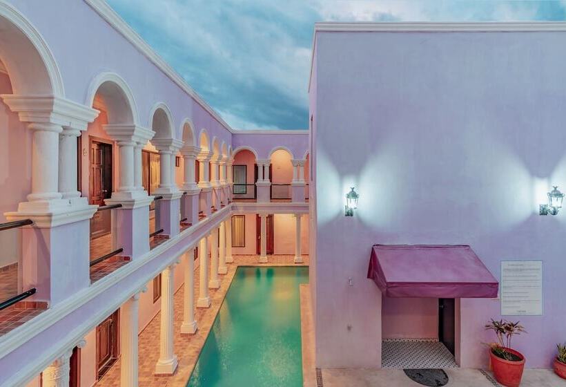 Fotos del hotel Boutique Mansion Lavanda:  3