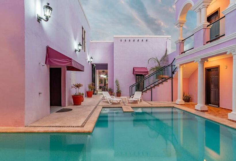 Fotos del hotel Boutique Mansion Lavanda:  13