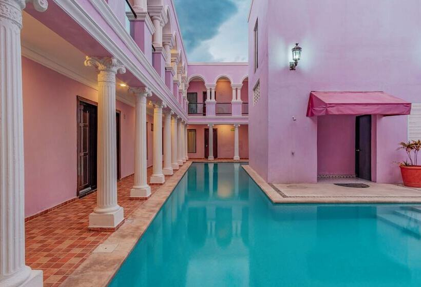 Fotos del hotel Boutique Mansion Lavanda:  7