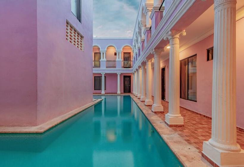 Fotos del hotel Boutique Mansion Lavanda:  11