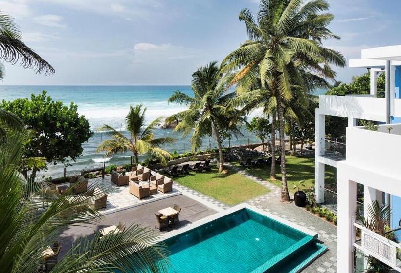 Fotos del hotel Owl And The Pussycat  & Restaurant:  6