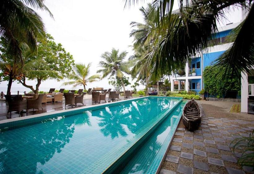 Fotos del hotel Owl And The Pussycat  & Restaurant:  2