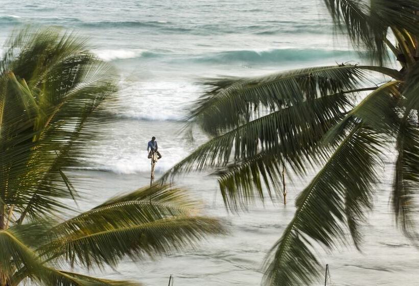 Fotos del hotel Owl And The Pussycat  & Restaurant:  5