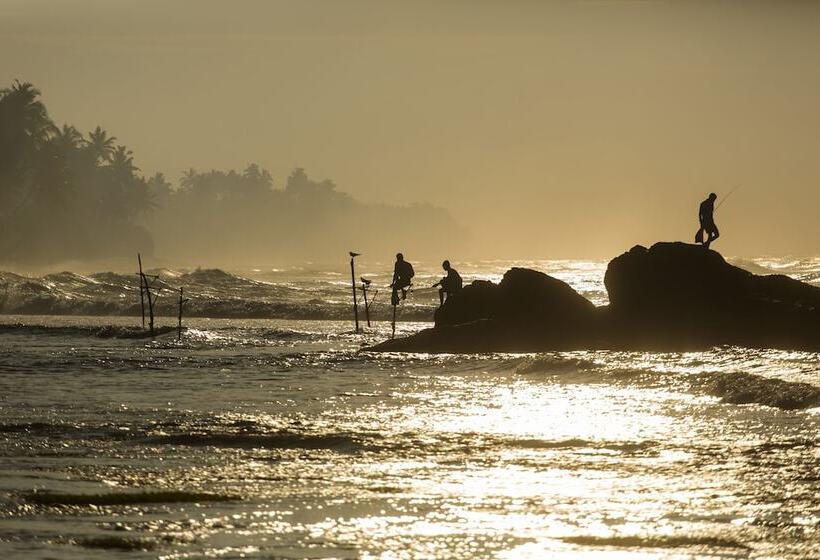 Fotos del hotel Owl And The Pussycat  & Restaurant:  10