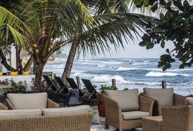 Fotos del hotel Owl And The Pussycat  & Restaurant:  16