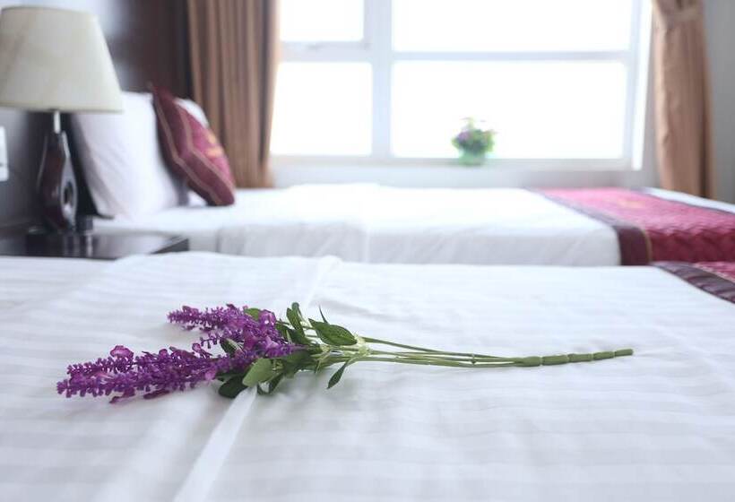 Fotos del hotel Huong Son Hotel Da Nang:  22