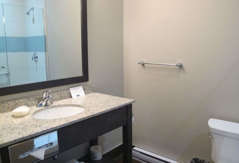 Fotos del hotel Best Western Plus  Montreal:  14