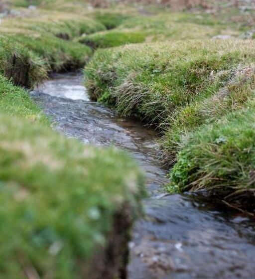 Fotos del hotel Nabia:  6